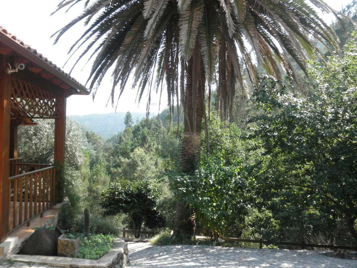 Casa Velha Villa Figueiro Dos Vinhos Bagian luar foto