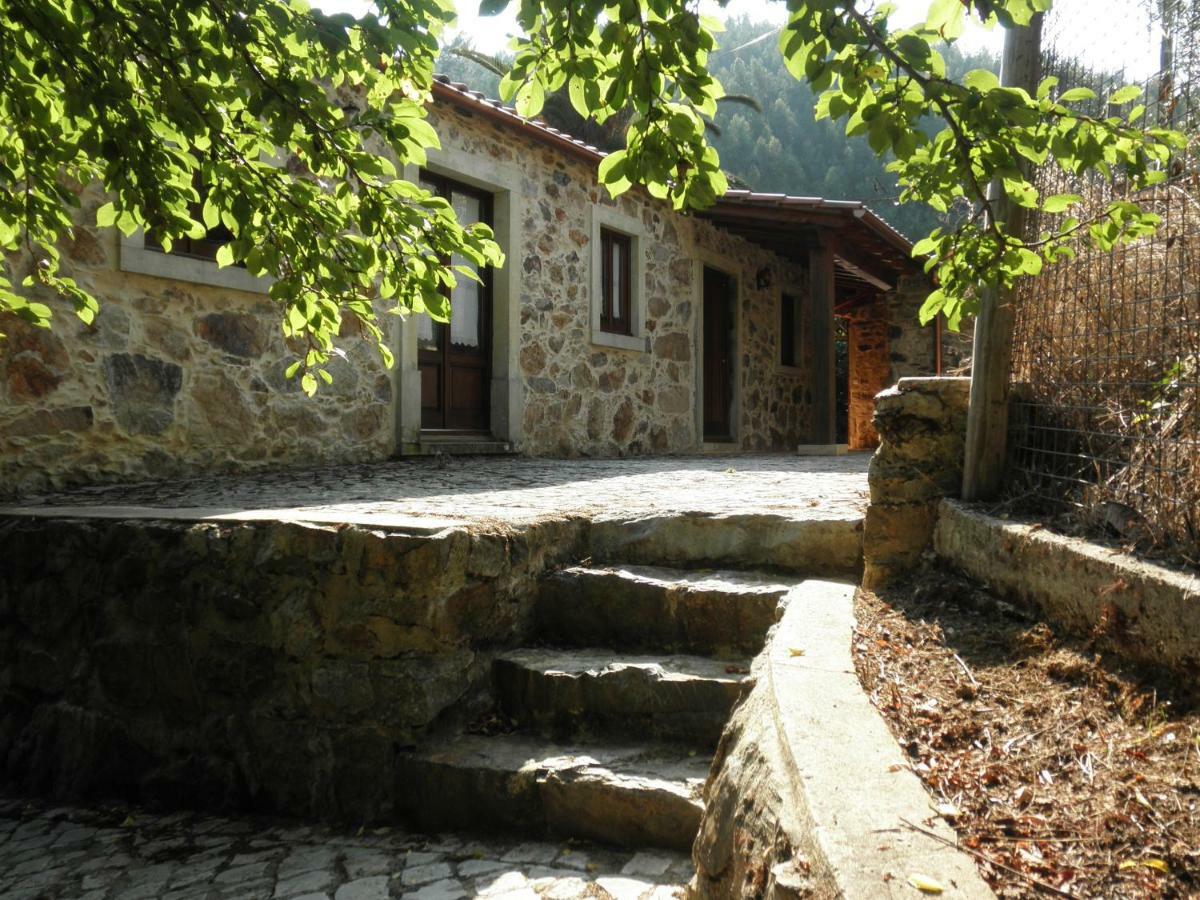 Casa Velha Villa Figueiro Dos Vinhos Bagian luar foto